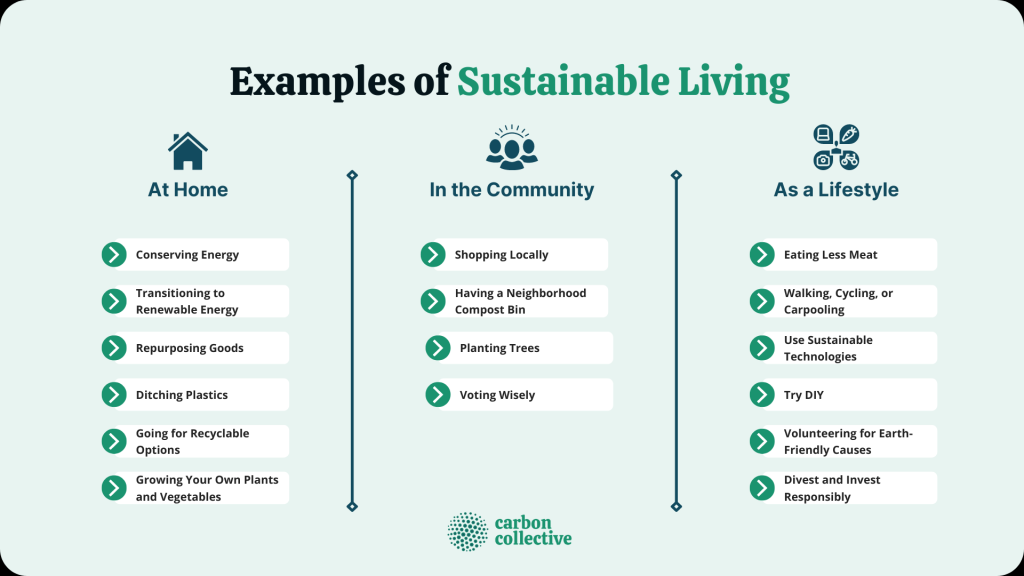 Picture of: A Guide To Sustainable Living  Meaning, Goals, Examples, & Importance