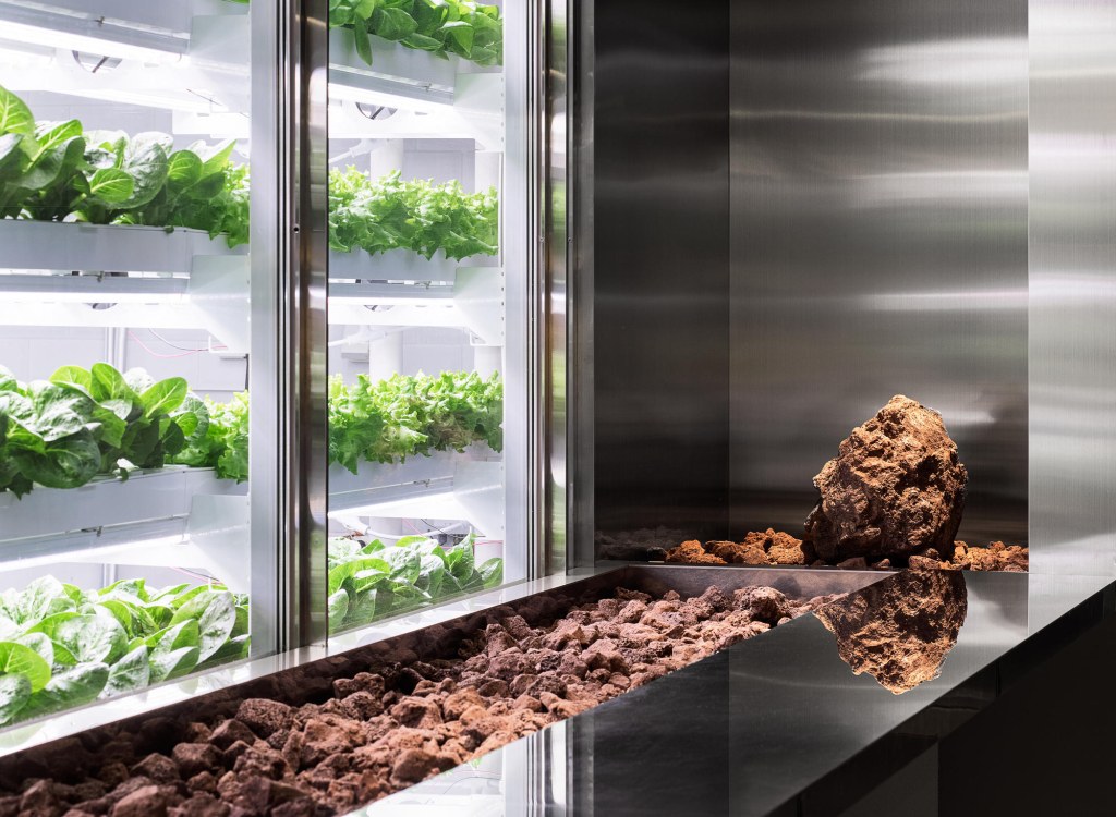 Picture of: How to use vertical farming for sustainable living